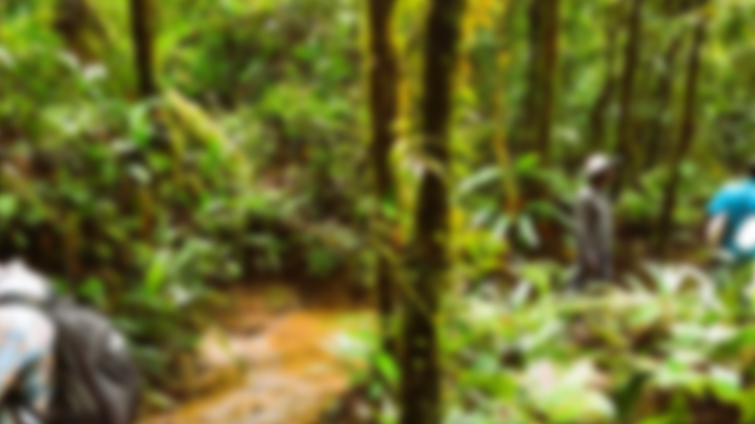 Banner-principal-mineral