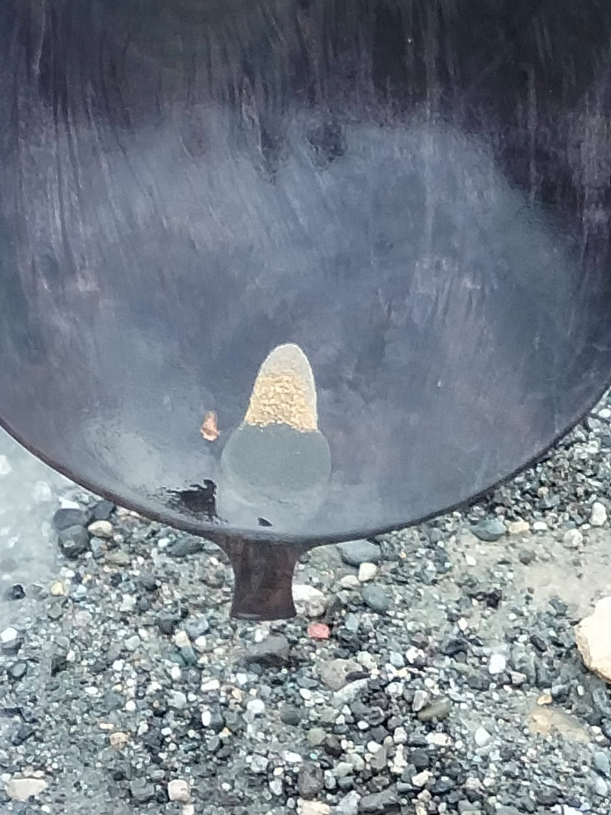 WhatsApp-Image-2024-12-10-at-11.43