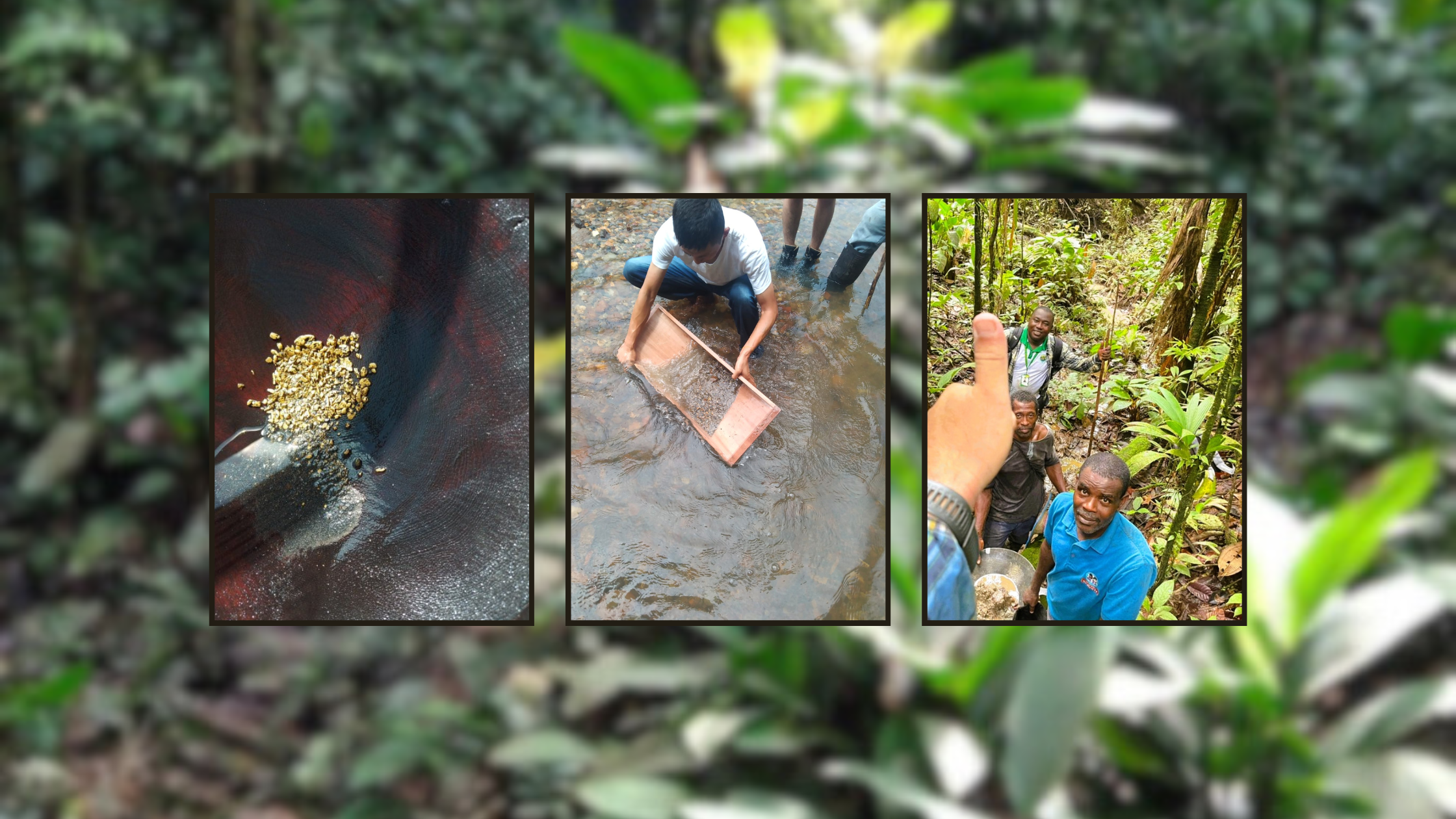 Website Sale Promo Homepage Banner (1)